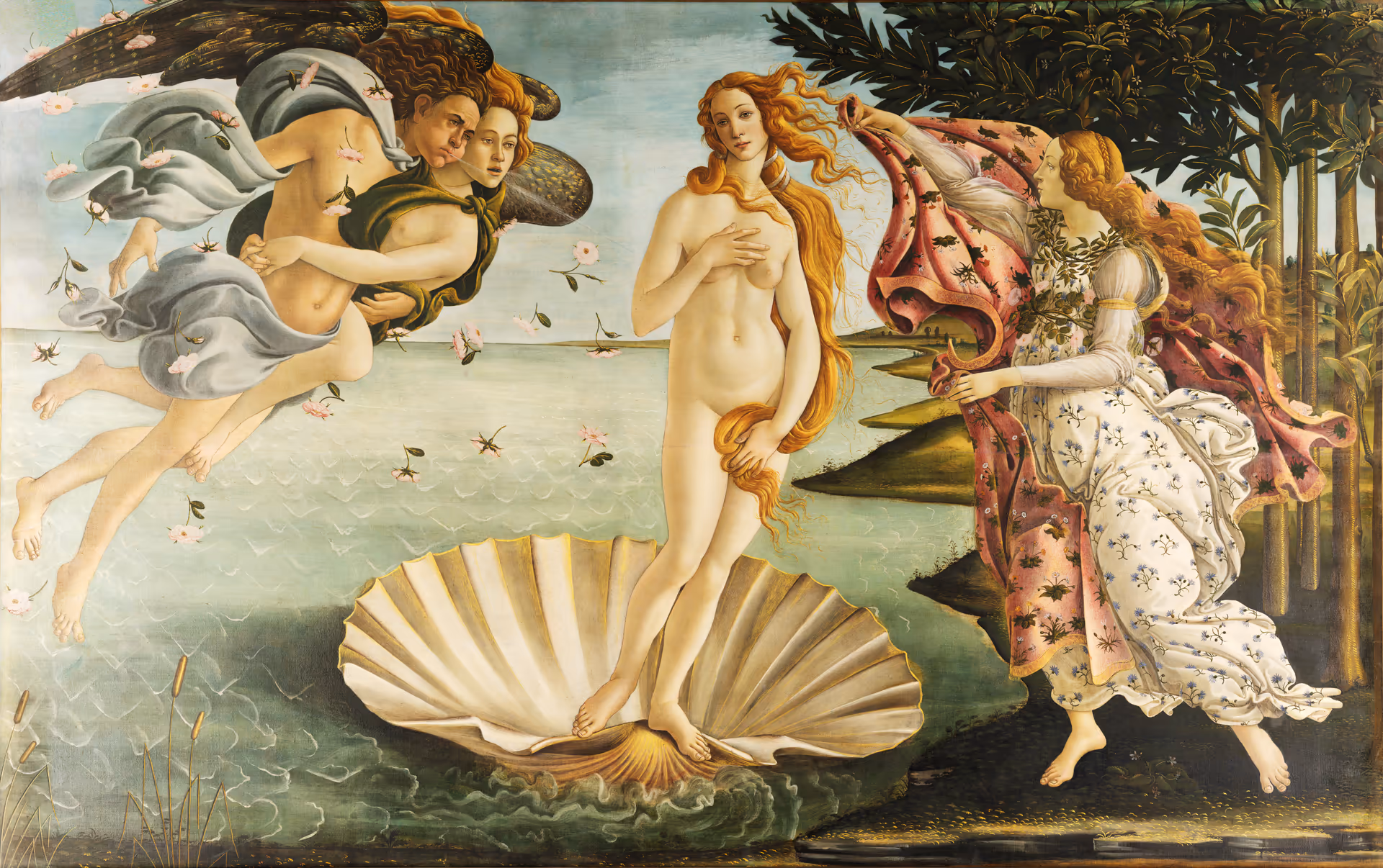 the birth of venus by Botticelli